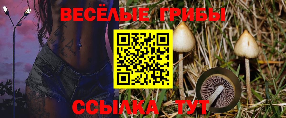 Галлюциногенные грибы Psilocybine cubensis  сколько стоит  Жигулёвск  Вход с VPN 