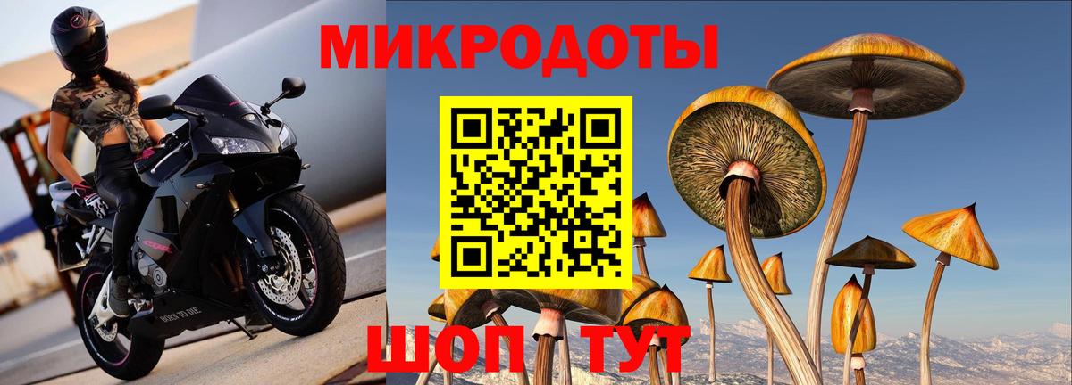 Галлюциногенные грибы ЛСД Жигулёвск